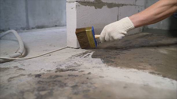 SJ Waterproofing Pros Sump Pump Installation coverage map for Bannister, MI and surrounding area